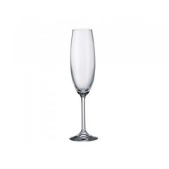 Набор бокалов для шампанского 220 мл 6 шт богемское стекло Maxima Bohemia 40445/220