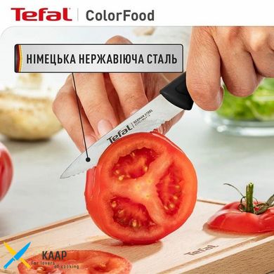 Набір ножів ColorFood 3, нержавіюча сталь. Tefal K2733S04