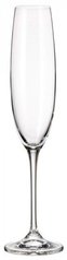 Набір келихів для шампанського 250 мл 2 шт Fulica Bohemia (1SF86/00000/250-2)