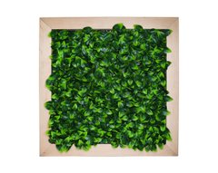 Фитокартина Engard "Сочная листва", 55х55 см (FP-11)
