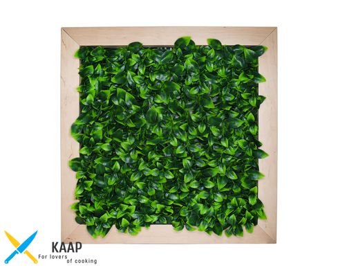 Фітокартіна Engard "Соковите листя", 55х55 см (FP-11)