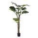 Искусственное растение Engard Monstera, 180 см