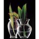 Ваза декоративна 14 см скляна фігурна "Flora" Pasabahce