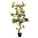 Штучна рослина Magnolia Tree 150 см DW-19
