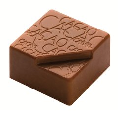 0204 CF Модуль для шоколада