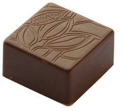 Форма для шоколадной конфеты "какао" 25х25х14 мм, 3х8 шт., 9 г