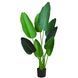 Штучна рослина Engard Banana Tree, 120 см