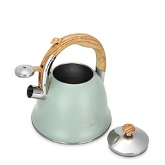 Чайник для кипячения воды Fissman AZURA 3 л нержавеющая сталь (5964)
